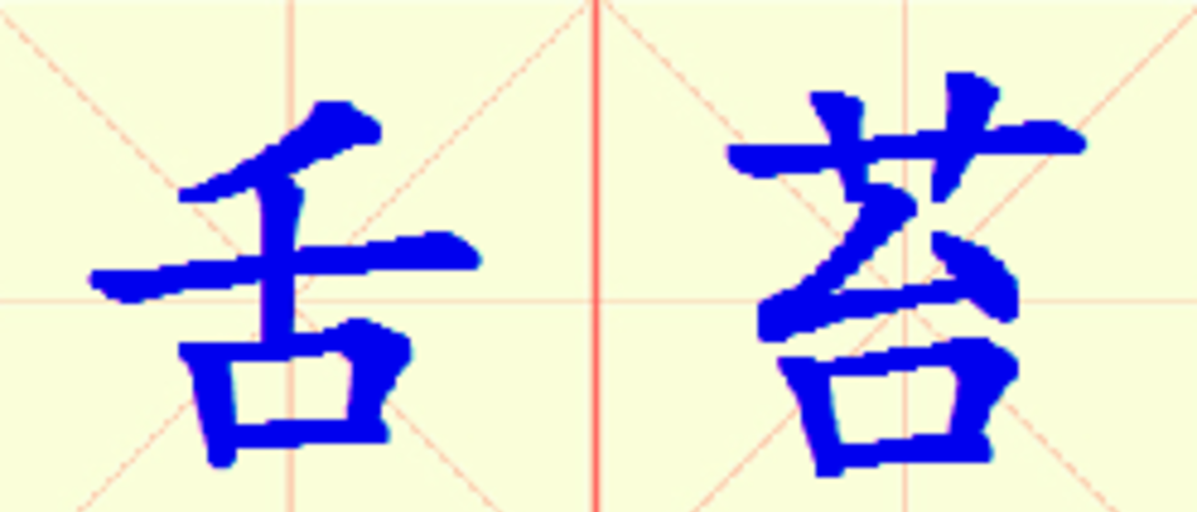 W10-she_tai.png
