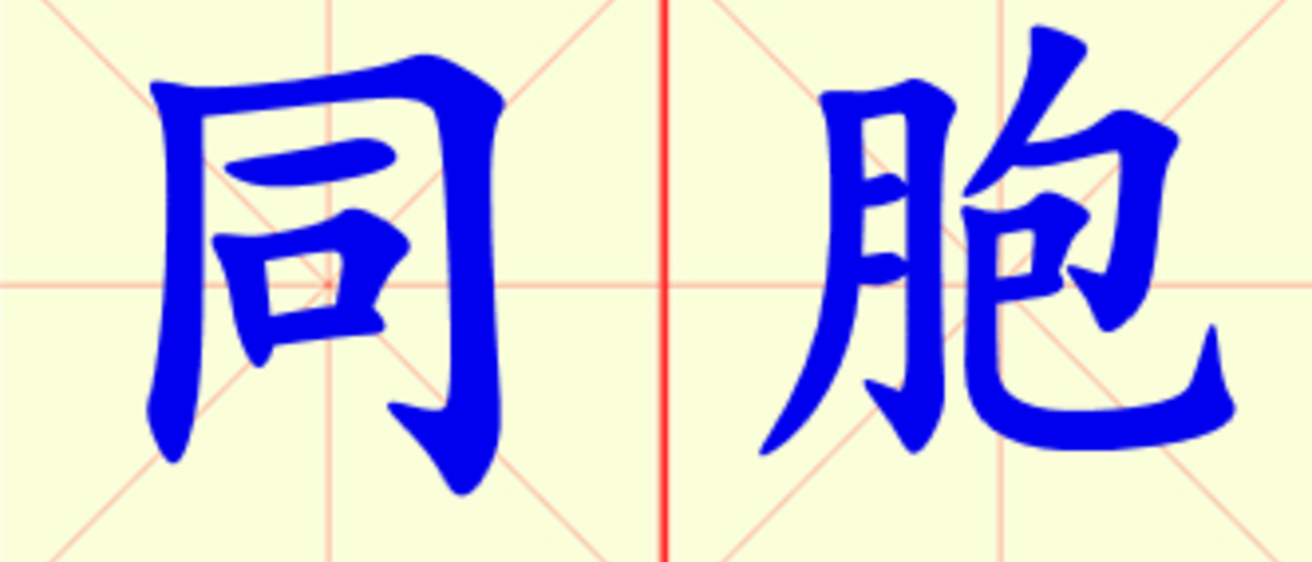 W10-tong_bao.png