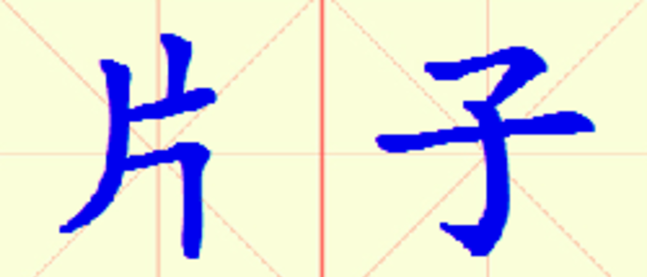 W11-pian_zi.png