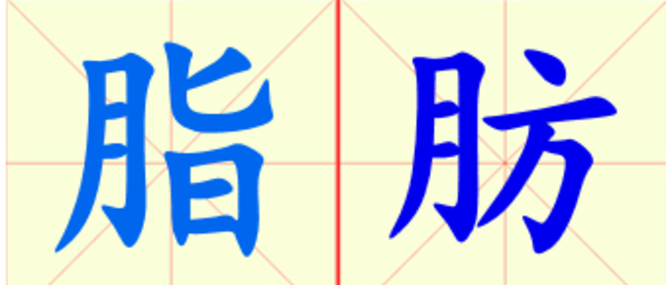 W11-zhi_fang.png