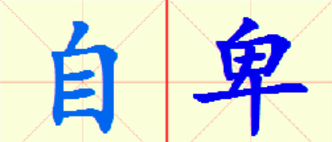W11-zi_bei.png