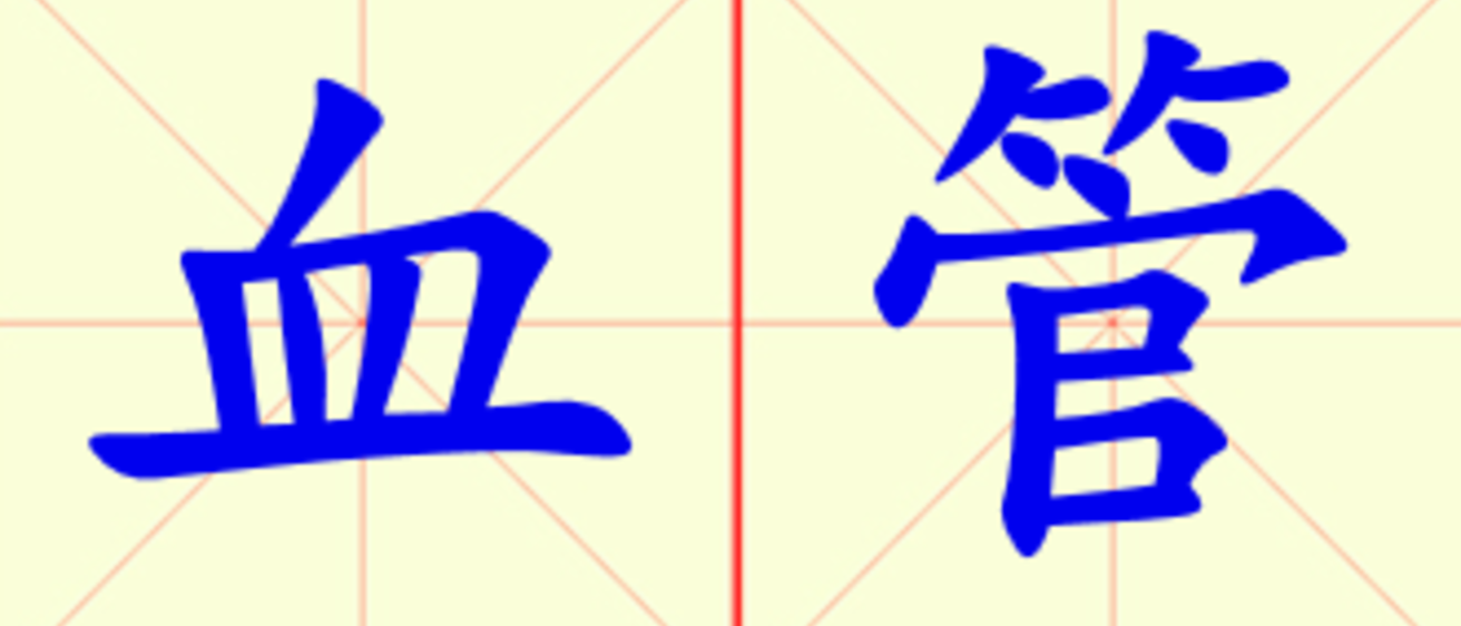 W13-xue_guan.png