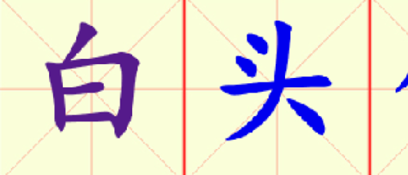 W14-bai_tou_xie_lao.png