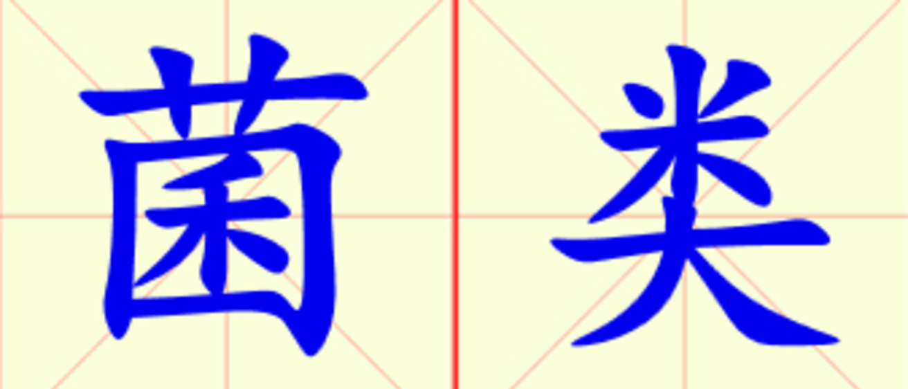 W14-jun_lei.png