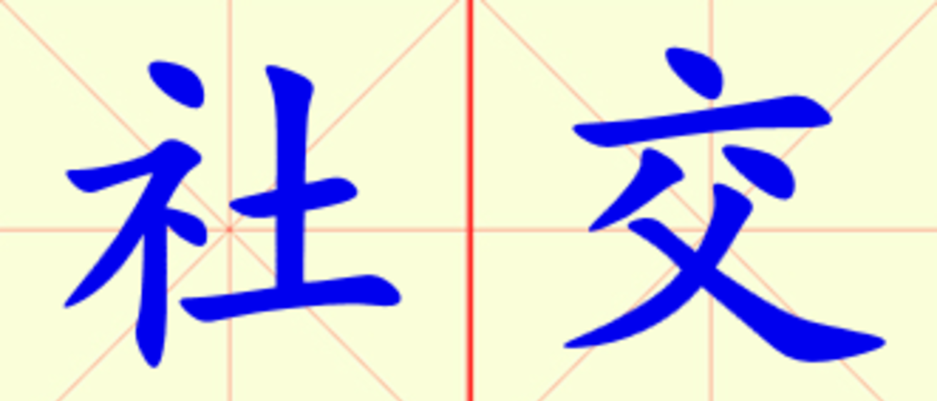W19-she_jiao.png