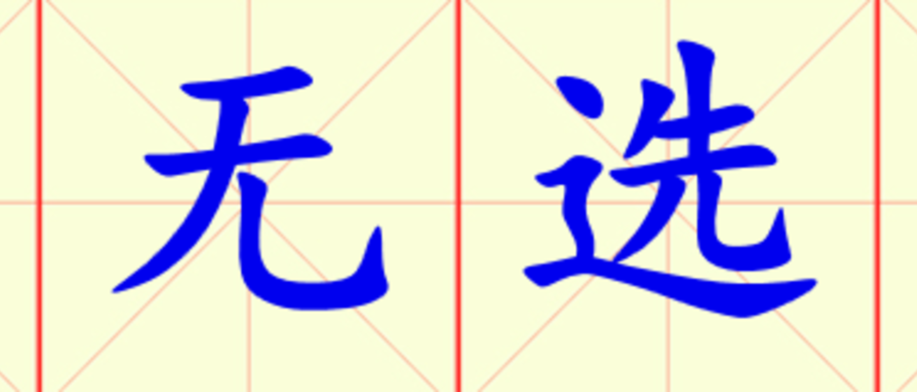 W20-bie_wu_xuan_zi.png