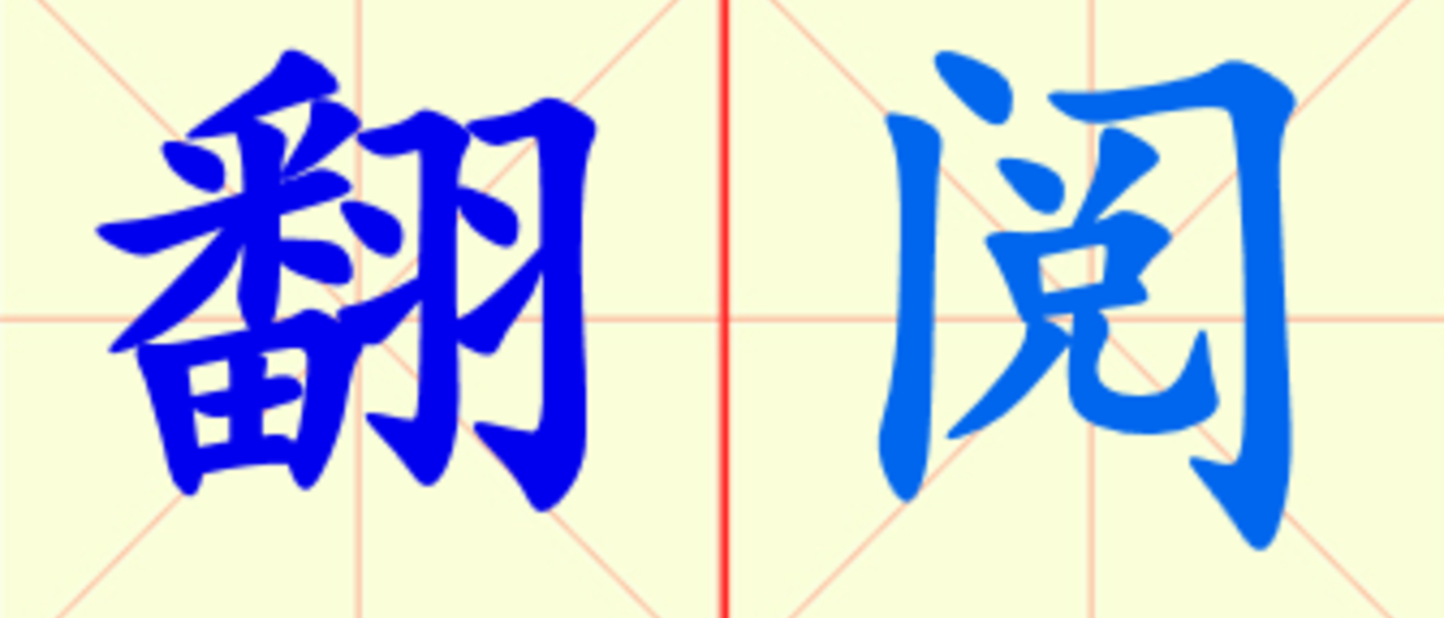 W5-fan_yue.png