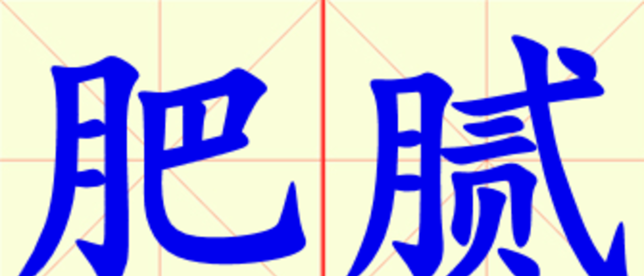 W5-fei_ni.png