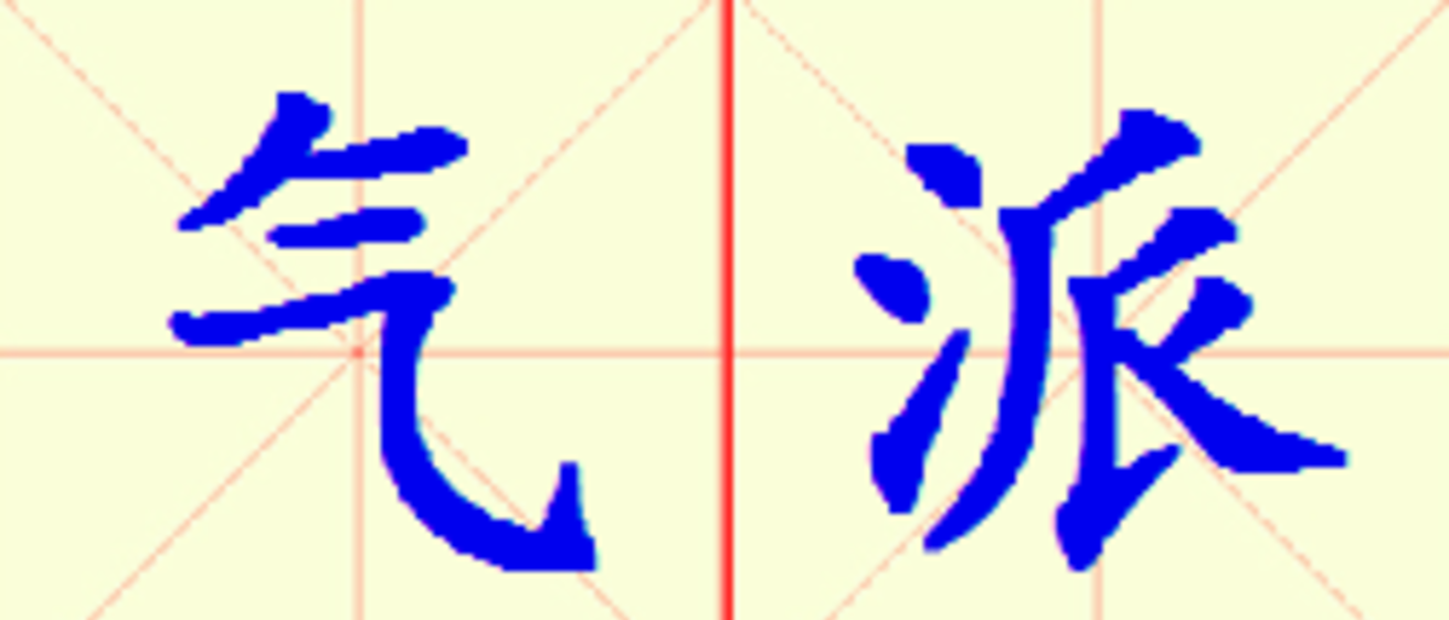 W6-qi_pai.png