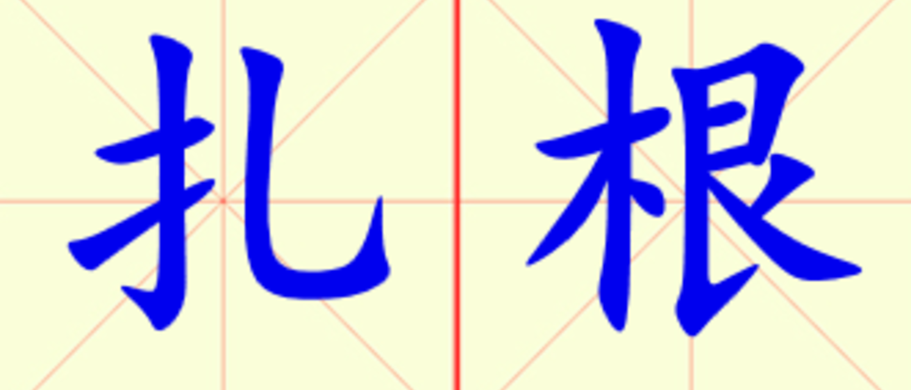 W6-zha_gen.png