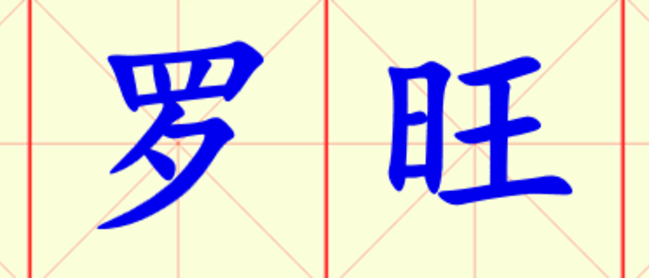 W9-pu_luo_wang_si.png